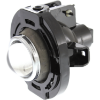Picture of Fog Light