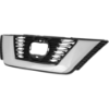 Picture of Grille Assembly