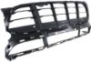 Picture of Bumper Grille
