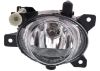 Picture of Fog Light