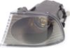 Picture of Fog Light