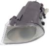 Picture of Fog Light