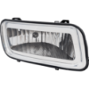 Picture of Fog Light