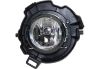 Picture of Fog Light