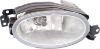 Picture of Fog Light