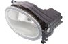 Picture of Fog Light