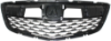 Picture of Grille Assembly