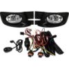 Picture of Fog Light