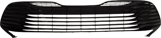 Picture of Bumper Grille