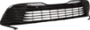 Picture of Bumper Grille