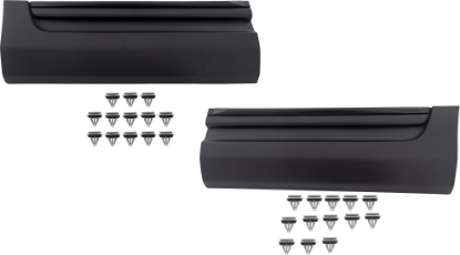 Picture of Door Molding and Beltlines