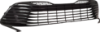 Picture of Bumper Grille