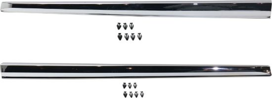 Picture of Door Molding and Beltlines