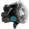 Picture of Fog Light