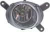 Picture of Fog Light
