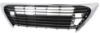 Picture of Bumper Grille