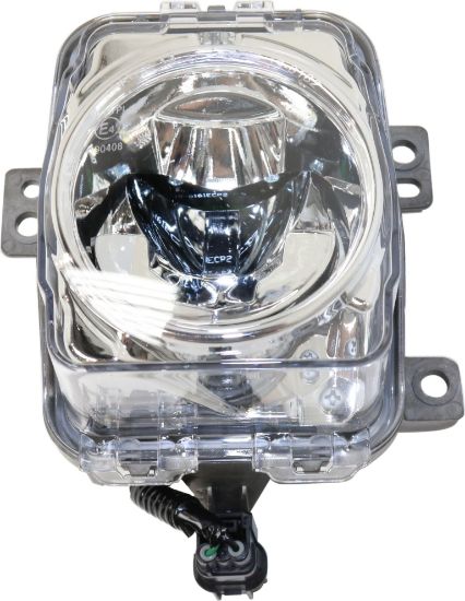 Picture of Fog Light