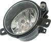 Picture of Fog Light
