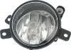 Picture of Fog Light