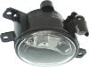 Picture of Fog Light