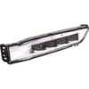 Picture of Fog Light