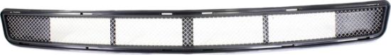 Picture of Bumper Grille