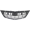 Picture of Grille Assembly