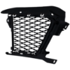 Picture of Bumper Grille