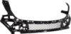 Picture of Bumper Grille