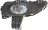 Picture of Fog Light