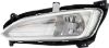 Picture of Fog Light
