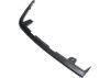 Picture of Bumper Trim