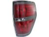 Picture of Tail Light