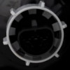 Picture of Fender