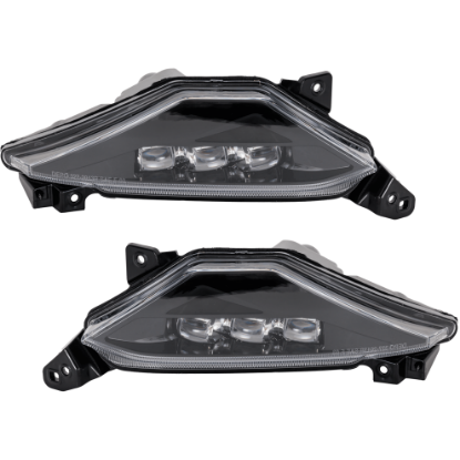 Picture of Fog Light