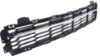 Picture of Bumper Grille