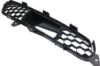 Picture of Bumper Grille