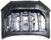 Picture of Hood