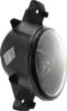 Picture of Fog Light