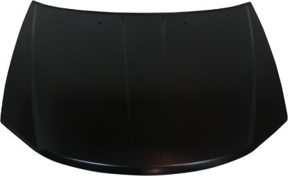 Picture of Hood
