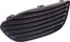Picture of Fog Light Cover