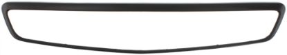 Picture of Grille Trim