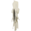 Picture of Fan Blade