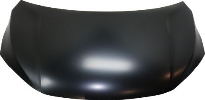 Picture of Hood