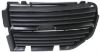 Picture of Grille Assembly
