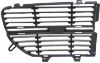 Picture of Grille Assembly
