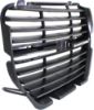 Picture of Grille Assembly