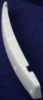 Picture of Bumper Absorber