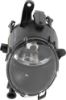 Picture of Fog Light