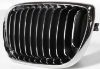 Picture of Grille Assembly
